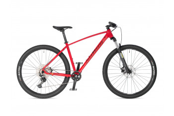 Spirit 2025 19" (29")...