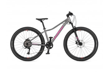 A-Matrix 26D 2026 13,5"...
