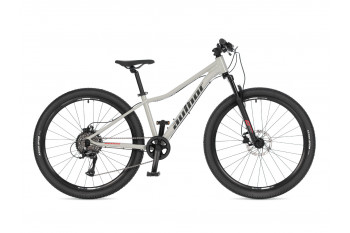 A-Matrix 26D 2026 13,5"...