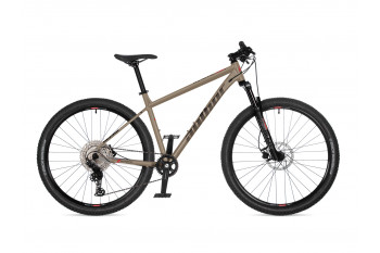 Kinetic 2026 21"...