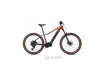 e-Guera 10.11-(894 Wh) (19)