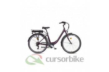 LIBERTY e-STRADA 6spd zadný...