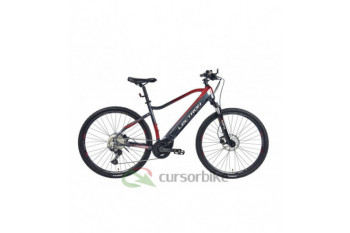 Lectron Voyager MFX 19" –...